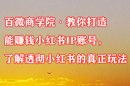百微商学院·教你打造能赚钱小红书IP账号,了解透彻小红书的真正玩法-冒泡网