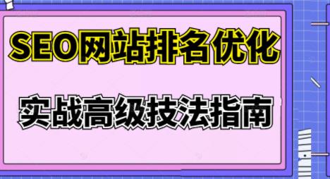 樊天华·SEO网站排名优化实战高级技法指南,让客户找到你-冒泡网