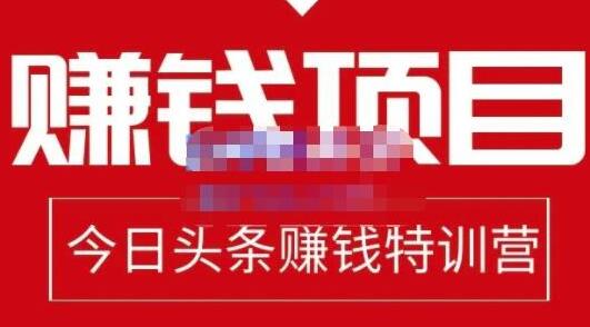 懒人领域·今日头条项目玩法,头条中视频项目,单号收益在50—500可批量-冒泡网