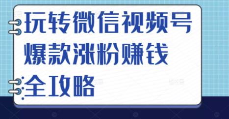 玩转微信视频号爆款涨粉赚钱全攻略,让你快速抓住流量风口,收获红利财富-冒泡网