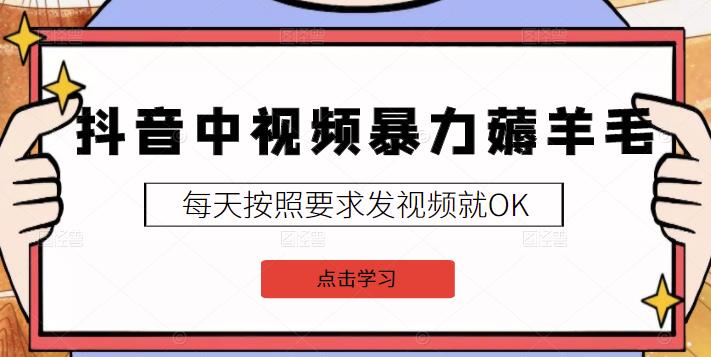 2022抖音中视频暴力薅羊毛白嫖项目:新号每天20块,老号几天几百块,可多号-冒泡网