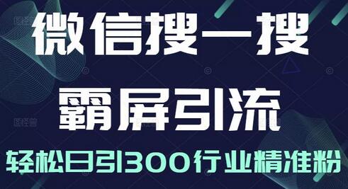 微信搜一搜霸屏引流课,打造被动精准引流系统,轻松日引300行业精准粉【无水印】-冒泡网