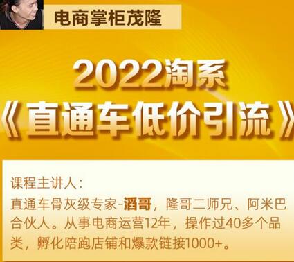 茂隆2022直通车低价引流玩法,教大家如何低投入高回报的直通车玩法-冒泡网