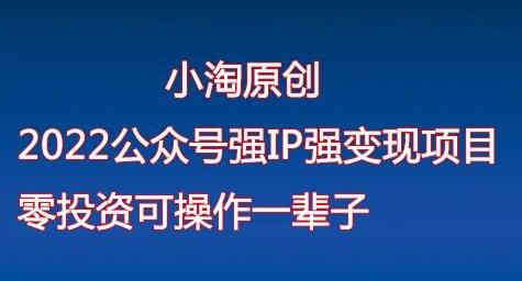 小淘原创:2022公众号强IP强变现项目,零投资可操作一辈子-冒泡网