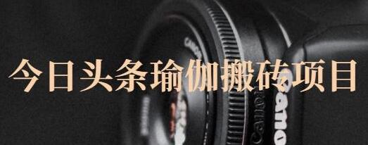 猎人社区·今日头条瑜伽搬砖项目,单号一天几十收入,可以批量操作!-冒泡网
