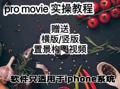漆十二美食摄影,25节promovie实操高手课节-冒泡网