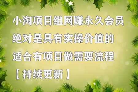 小淘项目组网赚永久会员,绝对是具有实操价值的,适合有项目做需要流程【持续更新】-冒泡网