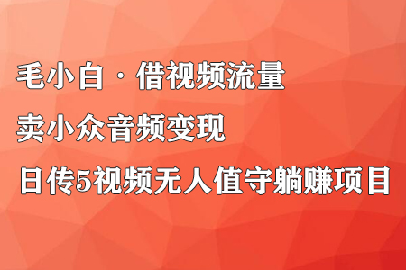 毛小白·借视频流量,卖小众音频变现,日传5视频无人值守躺赚项目-冒泡网