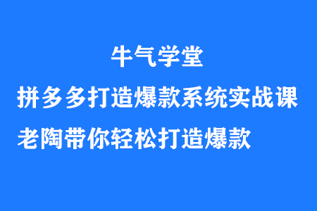 牛气学堂拼多多打造爆款系统实战课,老陶带你轻松打造爆款-冒泡网