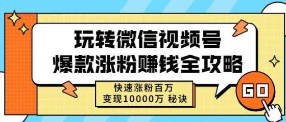 玩转微信视频号爆款涨粉赚钱全攻略,快速涨粉百万变现万元秘诀-冒泡网