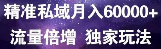 原力网赚精准私域月入60000+,流量倍增独家玩法-冒泡网