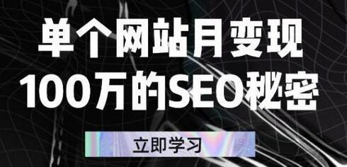 单个网站月变现100万的SEO秘密,百分百做出赚钱站点-冒泡网