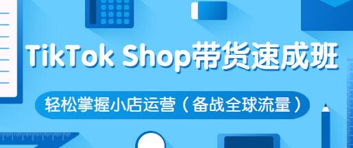 疯人院·TikTok Shop带货速成班 轻松掌握小店运营（备战全球流量）价值3599元-冒泡网