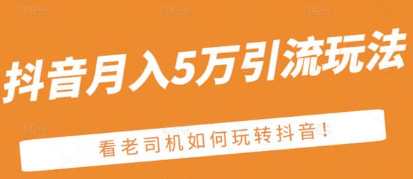 老古董·抖音月入5万引流玩法，看看老司机如何玩转抖音(附赠：抖音另类引流思路)-冒泡网