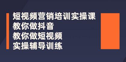 蕊总很忙·短视频营销培训实操课：教你做抖音，教你做短视频，实操辅导训练-冒泡网