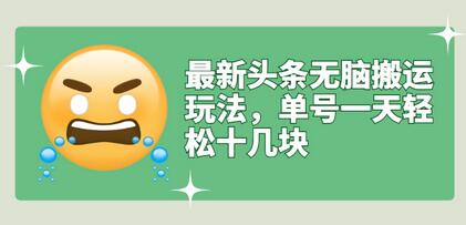 最新头条无脑搬运玩法，单号一天轻松十几块【视频教程+搬运软件】-冒泡网