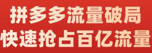 阿杰·拼多多流量破局:如何打黑标，爆款的思路，拼多多流量框架，快速抢占百亿流量-冒泡网