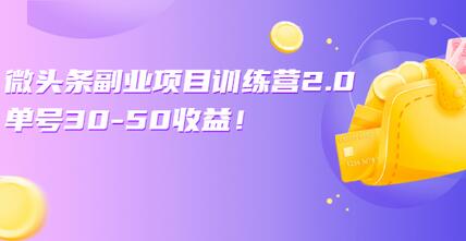 微头条副业项目训练营1.0+2.0:单号30-50收益!(无水印)-冒泡网