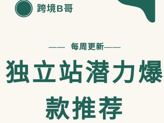 【跨境B哥】独立站潜力爆款选品推荐,测款出单率高达百分之80(每周更新)-冒泡网