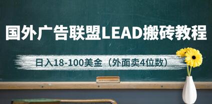 外面卖4位数的国外广告联盟LEAD搬砖教程，日入18-100美金（教程+软件）-冒泡网