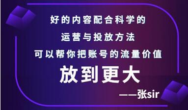 张sir账号流量增长课,告别海王流量,让你的流量更精准-冒泡网