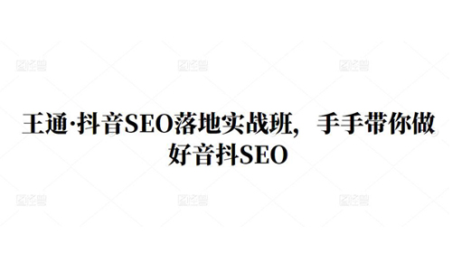 王通·抖音SEO落地实战班,手手带你做好抖音SEO-冒泡网