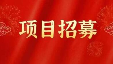高鹏圈·蓝海中视频项目，长期项目，可以说字节不倒，项目就可以一直做！-冒泡网