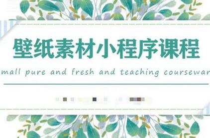 闪闪壁纸号运营教程，抓住图文风口，快速吸粉变现-冒泡网