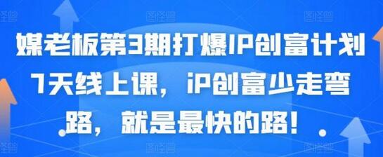媒老板第3期打爆IP创富计划7天线上课，iP创富少走弯路，就是最快的路！-冒泡网