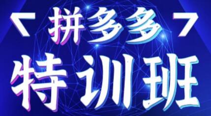 星雪教育·拼多多基础班+进阶班+突破班,用系统的学习模式快速改变现状价值3580元-冒泡网