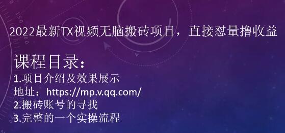 小淘:2022最新TX视频无脑搬砖项目,直接怼量撸收益-冒泡网