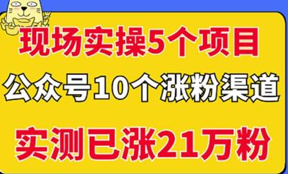 现场实操5个公众号项目,10个涨粉渠道,实测已涨21万粉!-冒泡网
