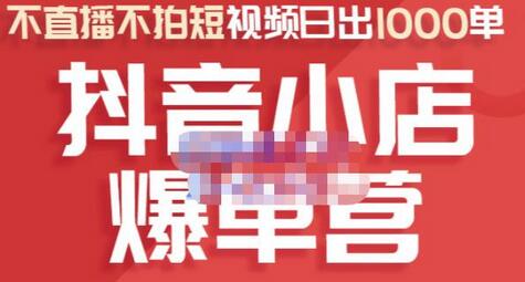 推易电商·2022年抖音小店爆单营,不直播、不拍短视频、日出1000单,暴力玩法-冒泡网