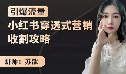苏歆:小红书穿透式营销收割攻略,引爆流量,助你玩转小红书-冒泡网