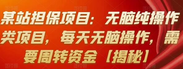 某站担保项目:无脑纯操作类项目,每天无脑操作,需要周转资金【揭秘】-冒泡网