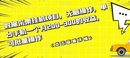 数据采集挂机项目,无脑操作,单台手机一个月200-300的收益,可批量操作-冒泡网