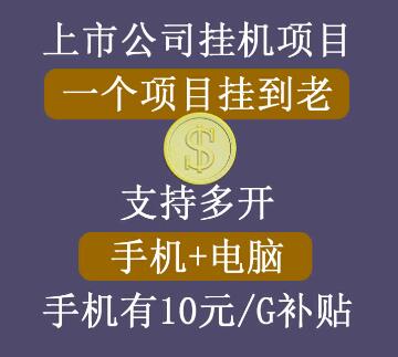 睿思挂机项目,支持手机电脑一起挂,支持虚拟机多开,手机挂有10元每G的流量补贴-冒泡网