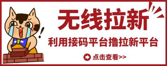 最新接码无限拉新项目,利用接码平台赚拉新平台差价,轻松日赚500+-冒泡网