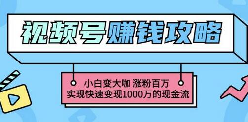 玩转微信视频号赚钱:小白变大咖涨粉百万实现快速变现1000万的现金流-冒泡网
