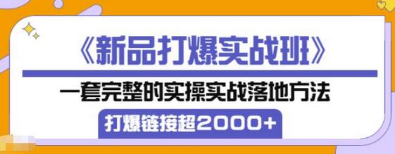 凌童《新品打爆实战班》,一套完整的实操实战落地方法，打爆链接超2000+（28节课)-冒泡网