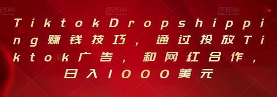 Tiktok Dropshipping赚钱技巧,通过投放Tiktok广告,和网红合作,日入1000美元-冒泡网