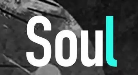 Soul挂机冲人气项目，单窗口一天2元，收益日结，稳定长久挂机项目-冒泡网