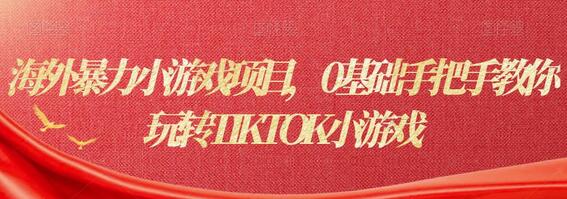 海外暴力小游戏项目,0基础手把手教你玩转TIKTOK小游戏-冒泡网