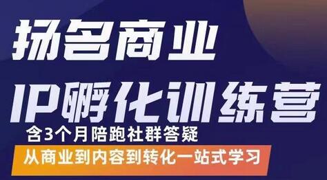 杨名商业IP孵化训练营,从商业到内容到转化一站式学 价值5980元-冒泡网