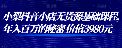 小梨抖音小店无货源基础课程,年入百万的秘密 价值 3980元-冒泡网