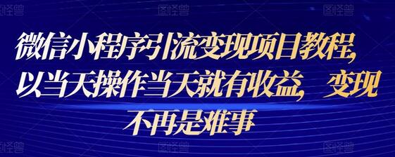 微信小程序引流变现项目教程，以当天操作当天就有收益，变现不再是难事-冒泡网