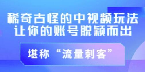 不讲李·稀奇古怪的冷门中视频冷门玩法，让你的账号脱颖而出，成为流量刺客！（图文+视频）-冒泡网