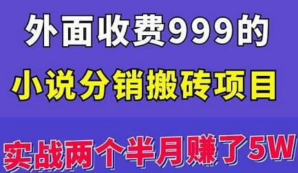 外面收费999的小说分销搬砖项目:实战两个半月赚了5W块,操作简单!-冒泡网