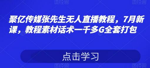 聚亿传媒张先生无人直播教程,7月新课,教程素材话术一千多G全套打包-冒泡网