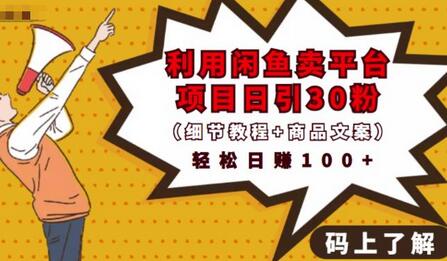 利用闲鱼卖平台项目课程资源日引流30+精准粉丝,轻松日赚100+,积累人脉可实现二次变现(细节教程+商品文案)-冒泡网